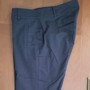 Ann Taylor Boardwalk Shorts